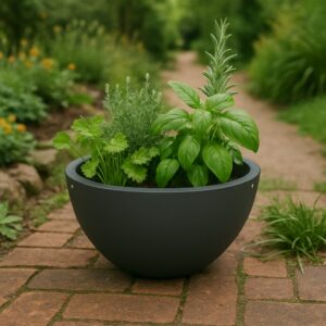 Oxford Self Watering Bowl Planter - Image 8