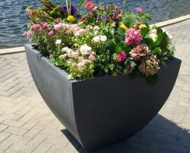 Self Watering Planter