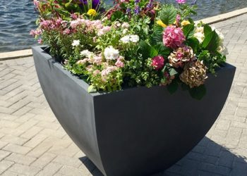 Self watering planter