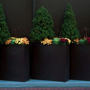 Self-Watering Planters