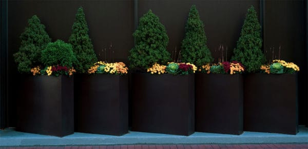 Self-Watering Planters