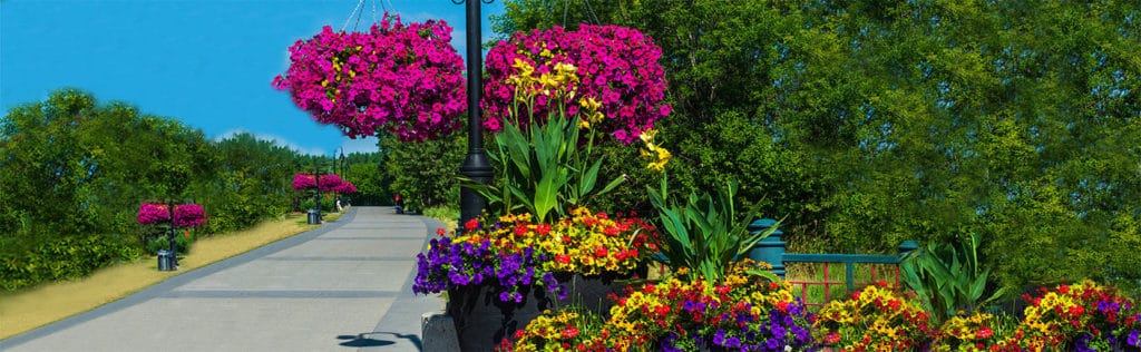 Urbanscape Hanging Planters