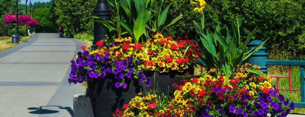 Urbanscape Self Watering Planters