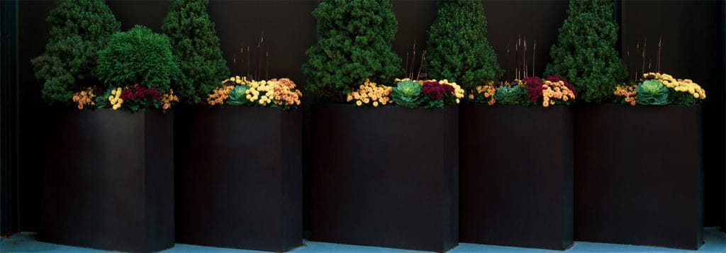 Kingston Self-Watering Planters