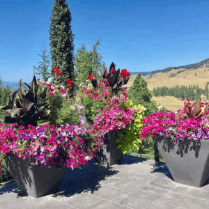 Metropolitan planter
