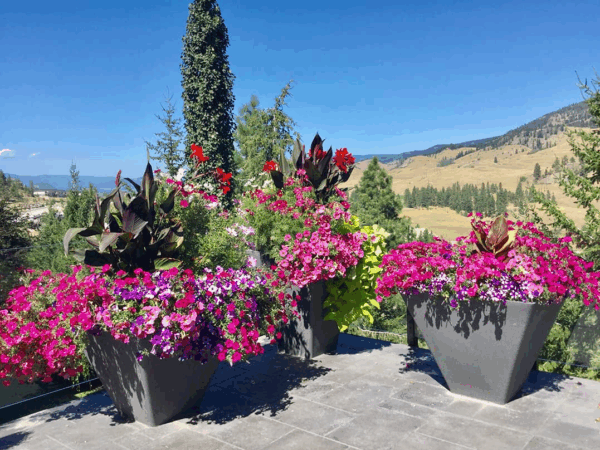 Metropolitan planter