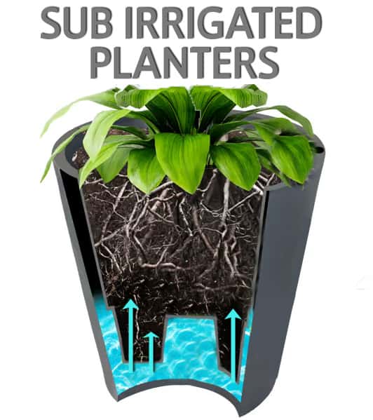 Sub Irrigated Planters