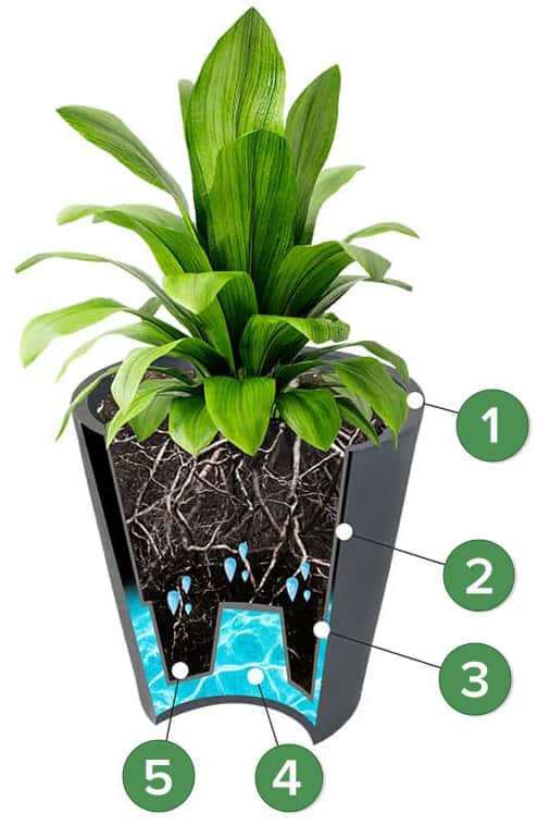 Lush green plant in a self-watering planter with drainage system and water reservoir.