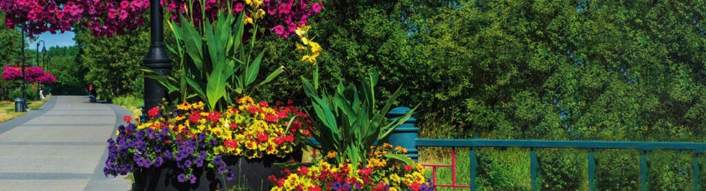 Urbanscape Self Watering Planters