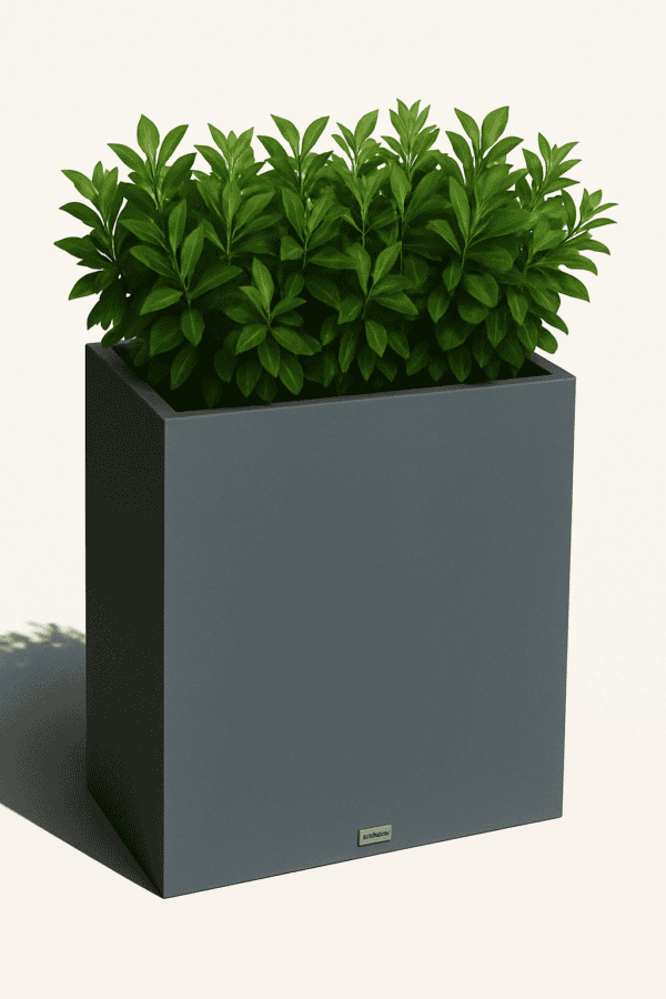 Kingston Rectangular Self Watering Planter