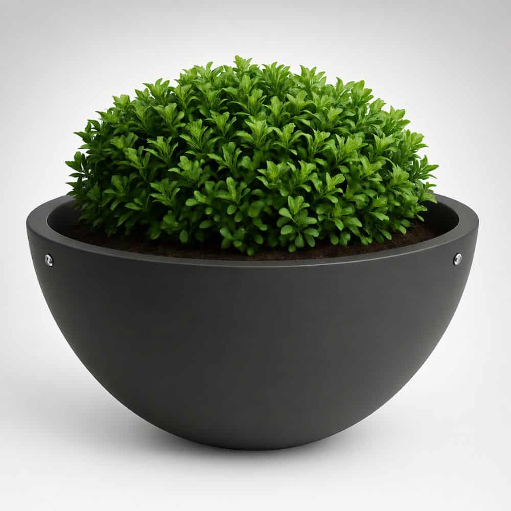 Oxford Self Watering Planter